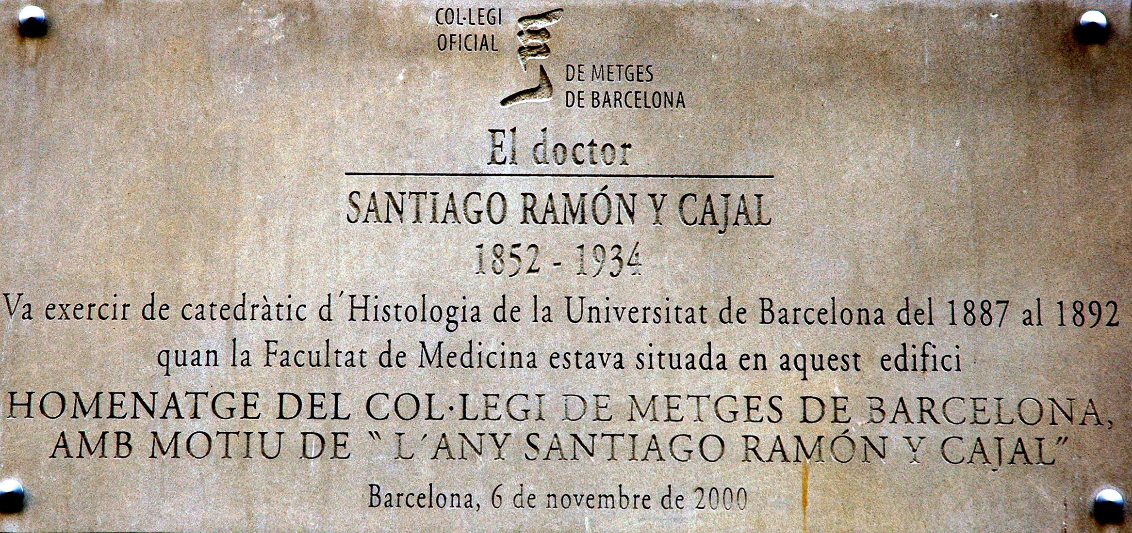 Las Mariposas del Alma en el Barrio Chino: La Epopeya Barcelonesa de Cajal